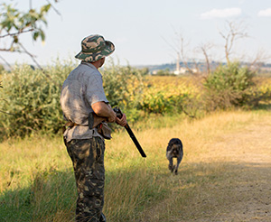 Quais são as regras de caça no Brasil?